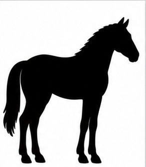 Paard